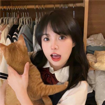 人类的故事