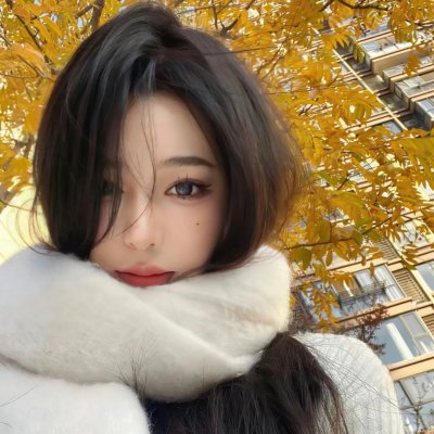 一条狗的回家路